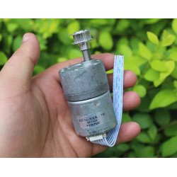 Động cơ brushless giảm tốc 12V 180 vòng/phút