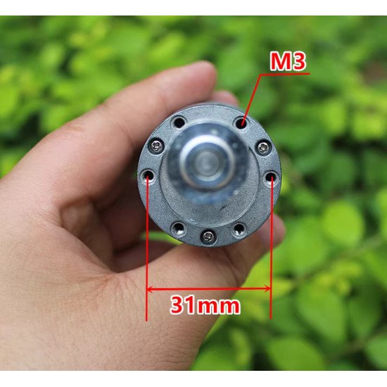 Động cơ brushless giảm tốc 12V 180 vòng/phút