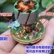 Động cơ 12-36V encoder 120ppr
