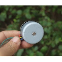 Động cơ brushless 6-12V