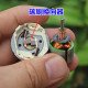 Động cơ 360 12VDC encoder
