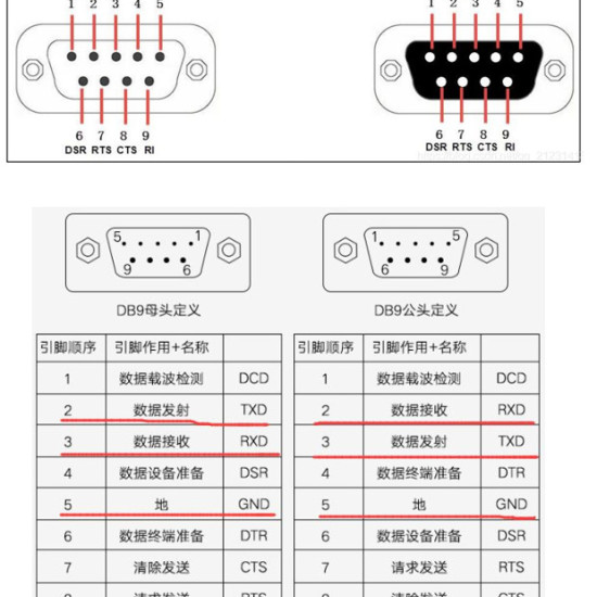 DB9 cái domino
