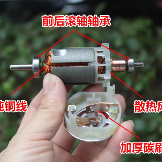 Động cơ DC 775 12-48V
